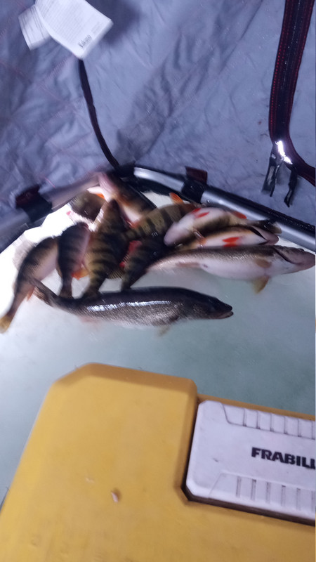 IMG 20260103 120404130