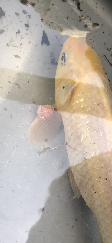 77045420-7D57-4E53-A4ED-99CD1A7AA048