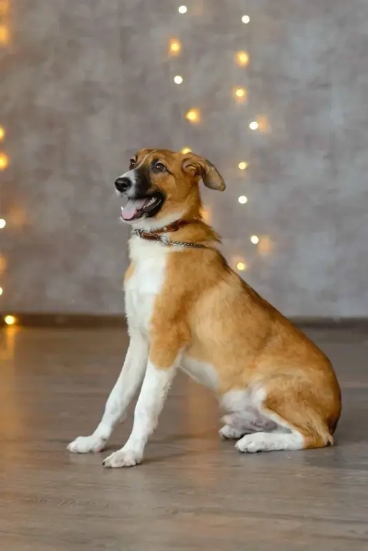 изображение_viber_2022-01-12_14-40-03-518