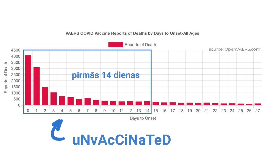 jā bet, muh statistika