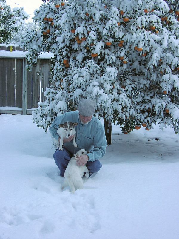 Mark&Dogs