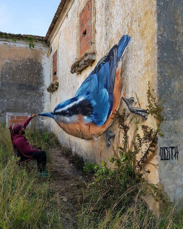 Odeith-15