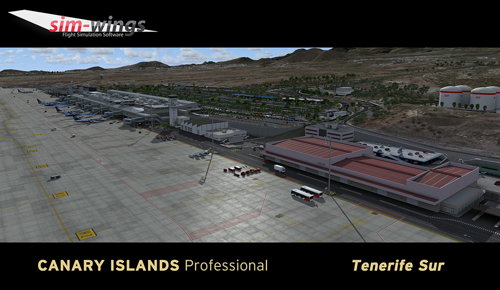 canary-islands-prof-tenerife (14)