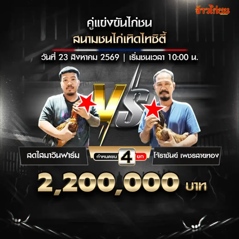 สดใสมาวินฟาร์ม พบ โจ้ราชันย์ เพชรสายทอง สนามชนไก่เทิดไทซิตี้ วันที่ 23 สิงหาคม 2569