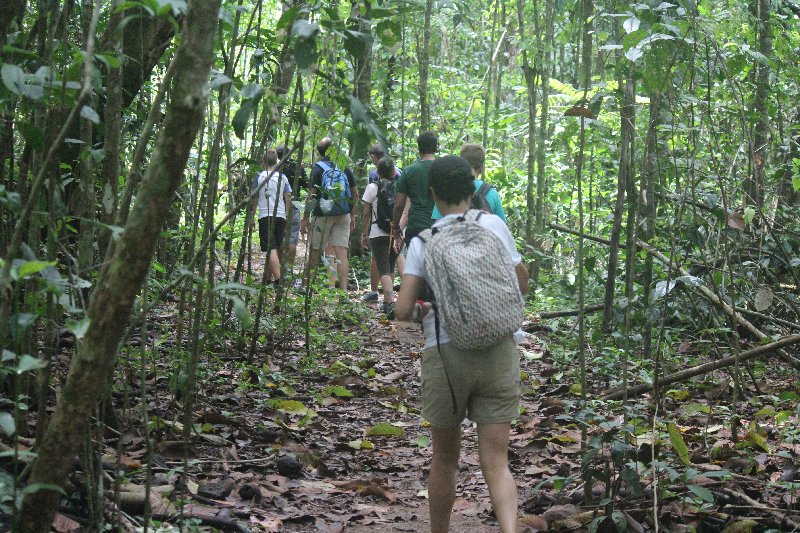 DIA 13: EXCURSIÓN DE UN DÍA A CORCOVADO - DE TORTUGAS Y PEREZOSOS. COSTA RICA 2019 (30)