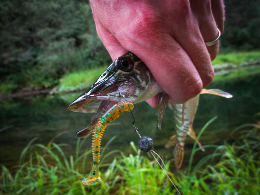 без имени-41