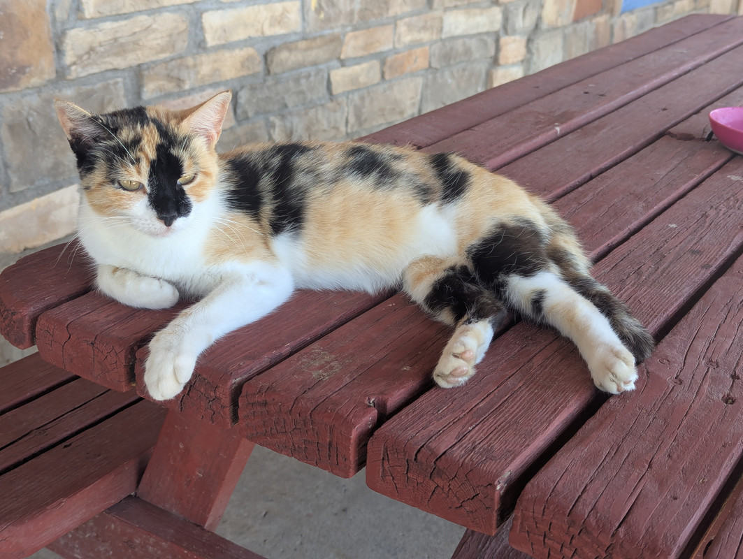 PXL_20250710_182432972