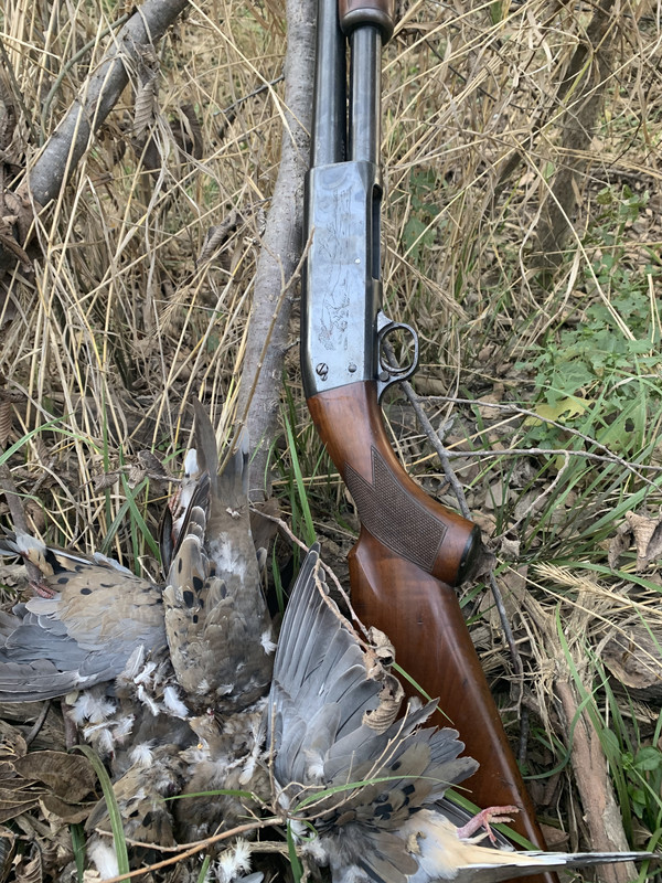 B83BE9FD-BD6E-4115-8366-52A929379CEB