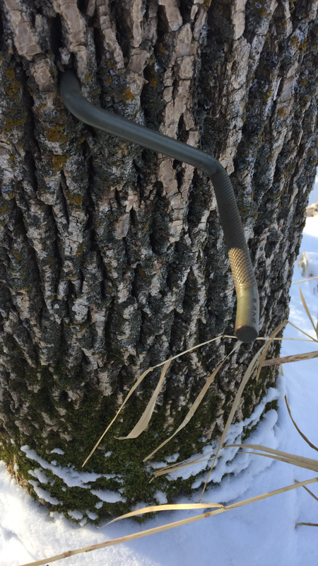 23738920-7062-44D1-8D07-3E30B8DAB95F