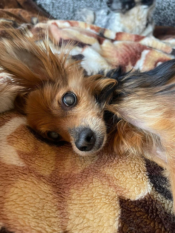 IMG-4a49f825f9d961f19d29382390141356-V