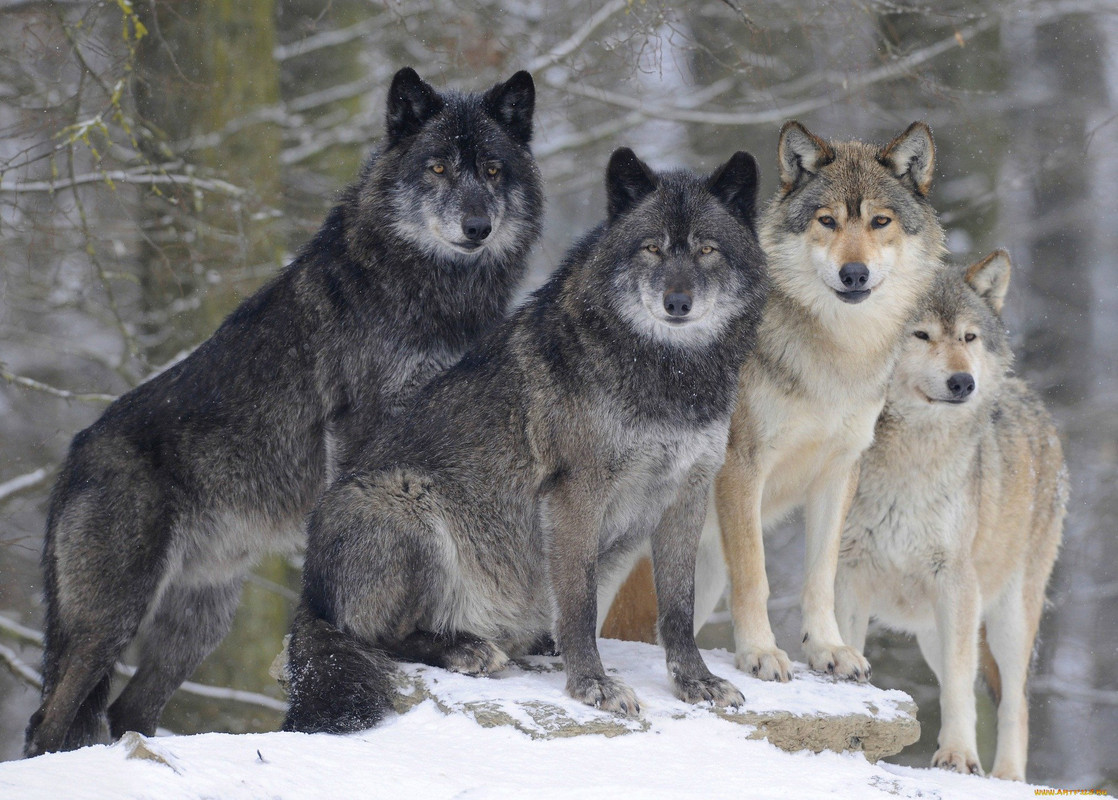 Gruppenbild