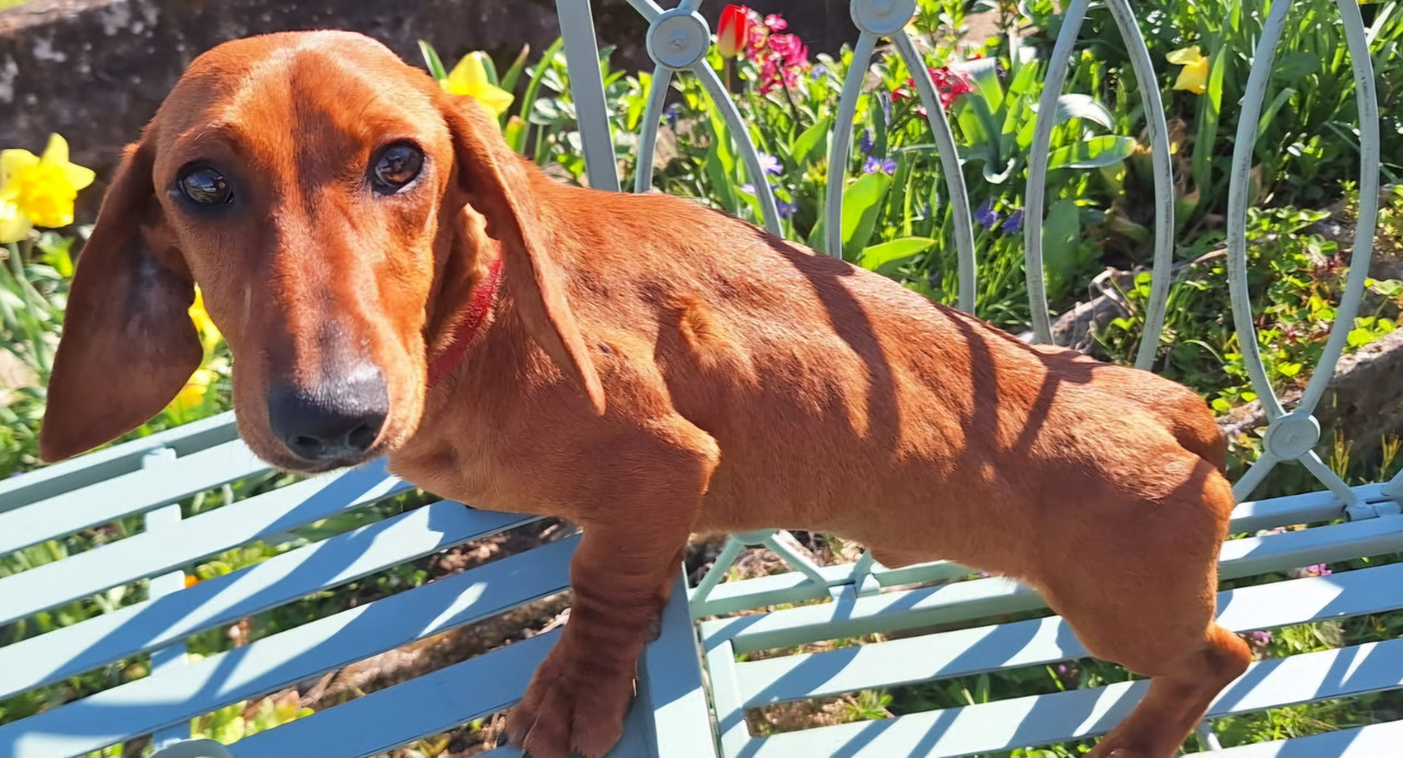 [Image: IMG-20250409-175802.jpg]