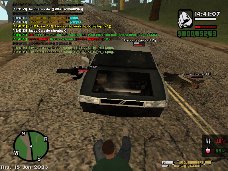 samp-15-06-2023-15-41-10.png