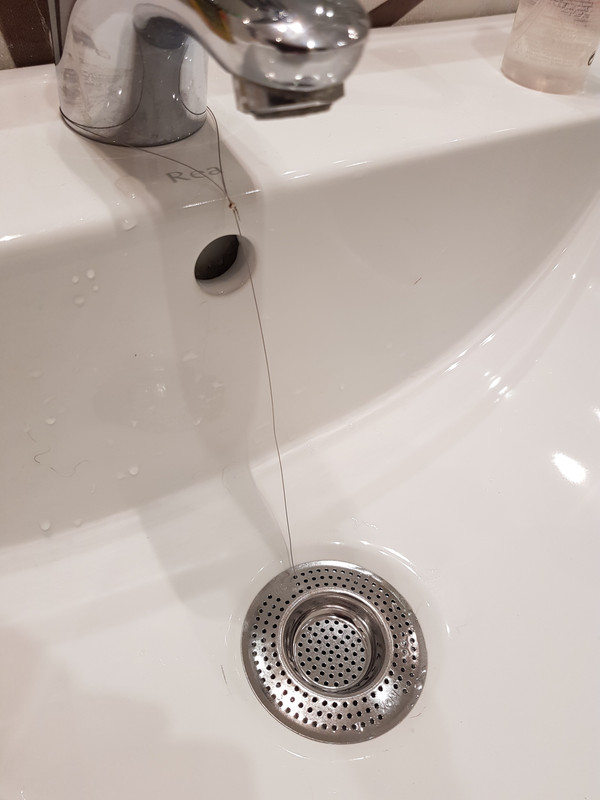 20190526-155143.jpg