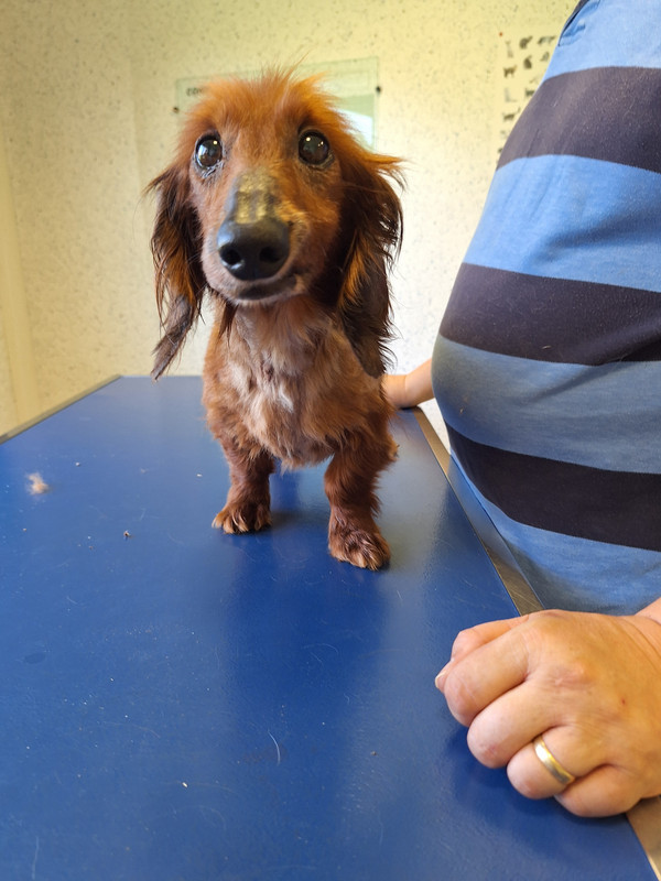 [Image: 20240412-161502.jpg]