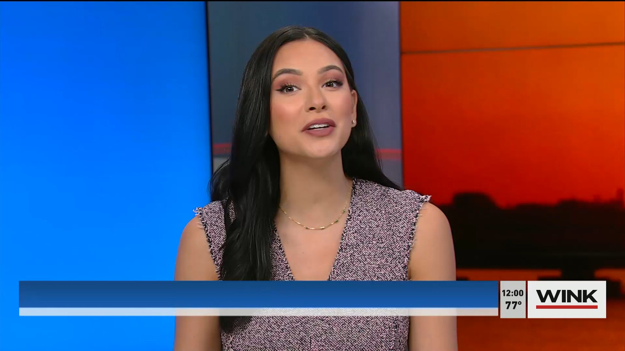 01.12 - 17.00.00 - The WINK Noon News  ᴺᵉʷ. Midday news update..ts_snapshot_07.02.122