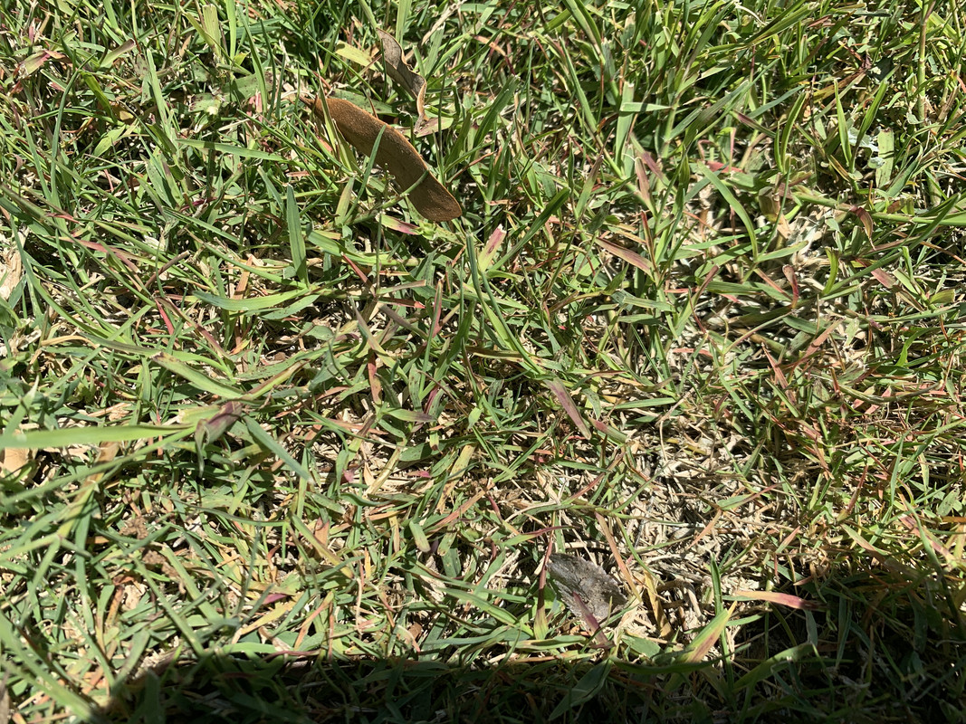 CF835313-1F1A-4F63-BD6B-9C8A61338730