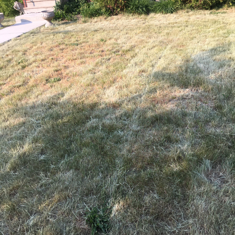 A99A17A9-88B8-45BE-A680-E6D61183968C