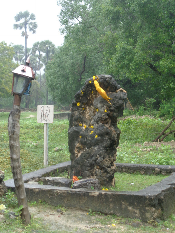 DSC02016.jpg