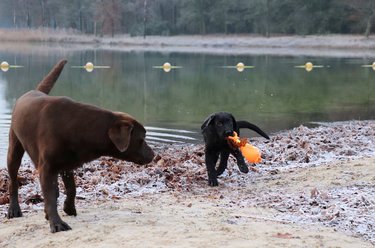 97EA0838-113E-42B6-A57A-D54BF48EA41D