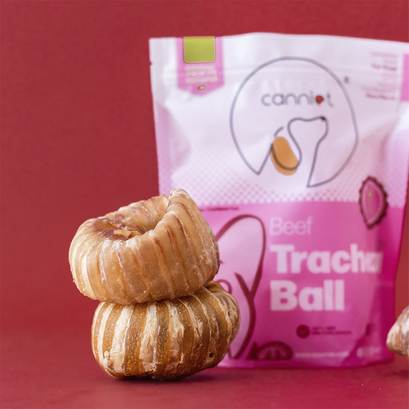 Trachea Ball - Bola de tráquea de res