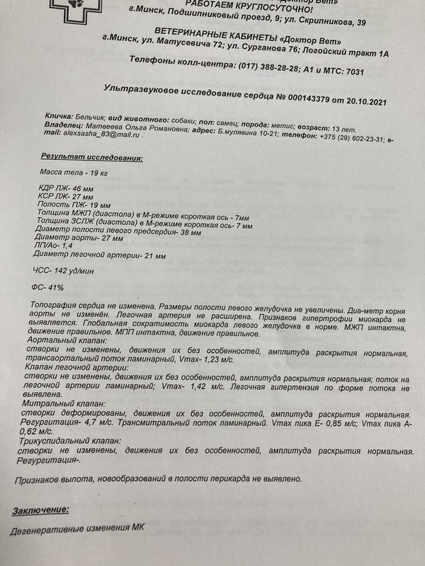 изображение_viber_2021-10-22_14-56-29-389