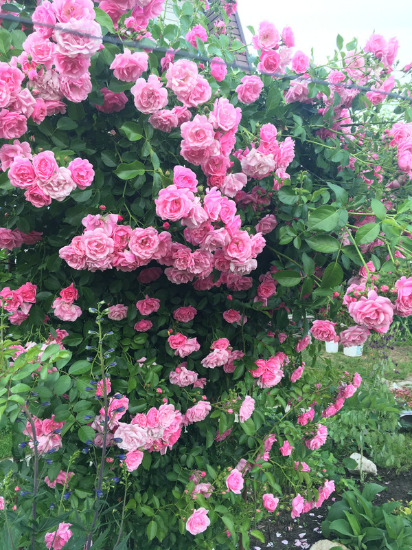 74B4F245-7EE7-407D-B469-1C8974A23AEF