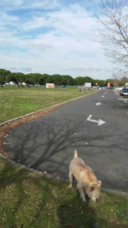 EF03B229-2474-4A9F-B718-0324FC19495F