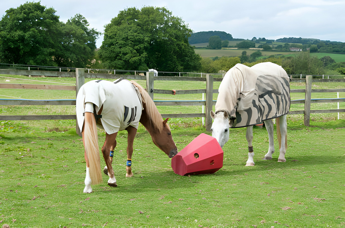 summer horse rugs for sale