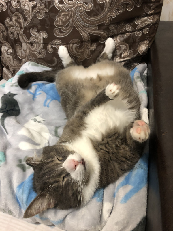 6A97F41F-7221-49A1-B900-8C78B3123964