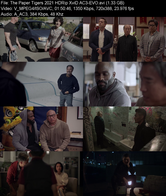 the-paper-tigers-2021-hdrip-xvid-ac3-evo