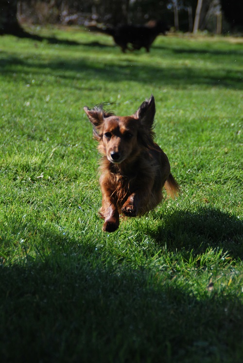 [Image: DSC-1653.jpg]