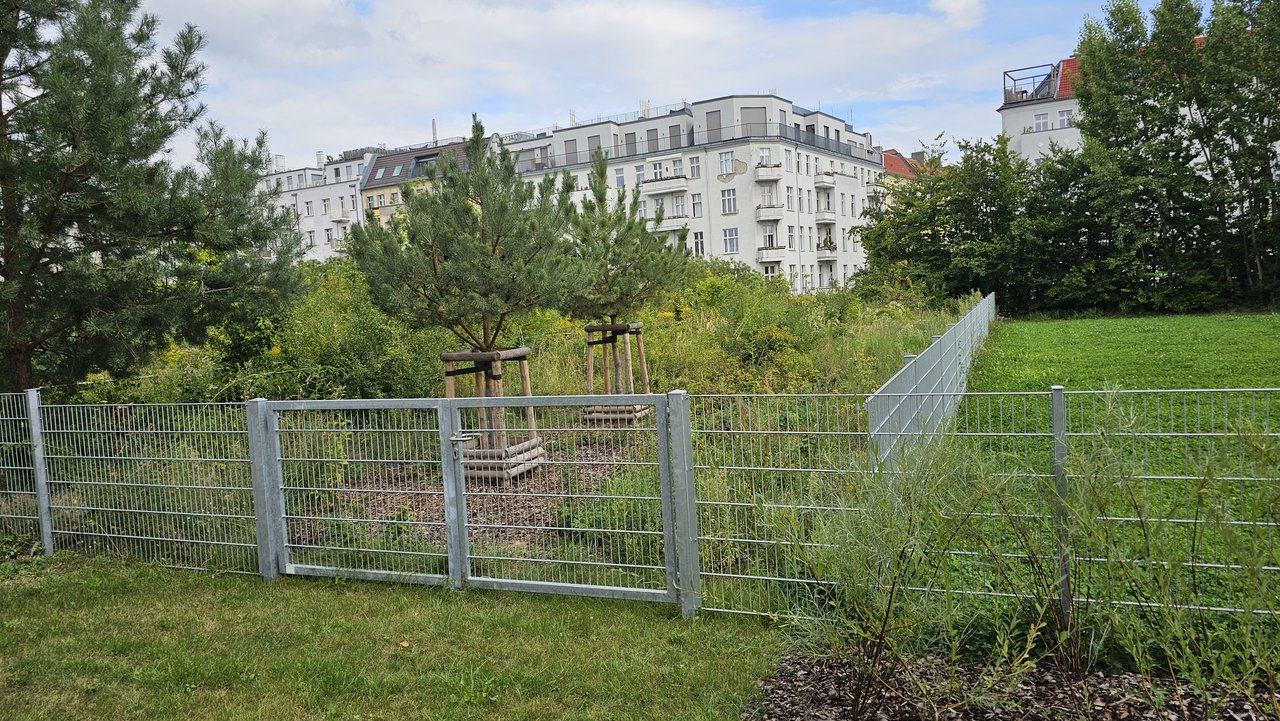 20240817-134421.jpg