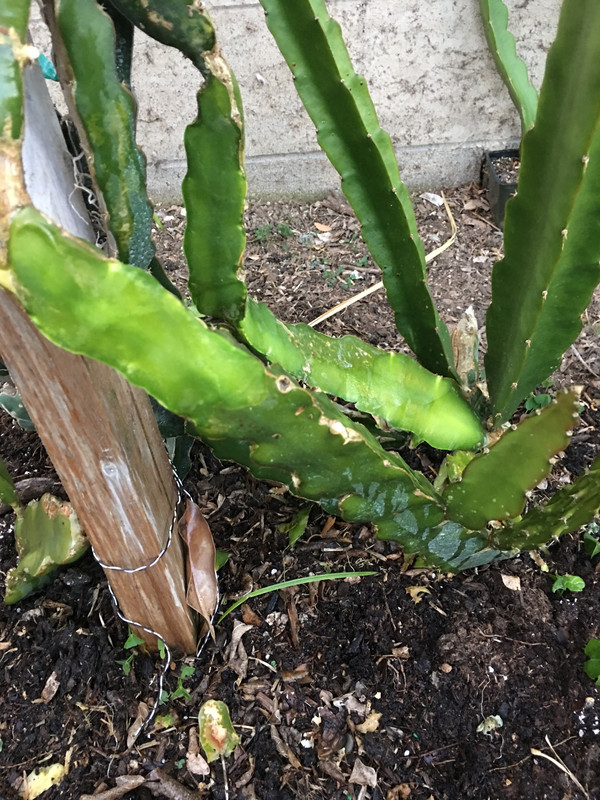 441DE92F-E552-47E1-BC79-FF36E8B7DEEC