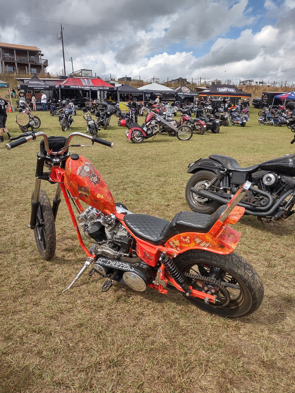 IMG_20251018_131127610_HDR