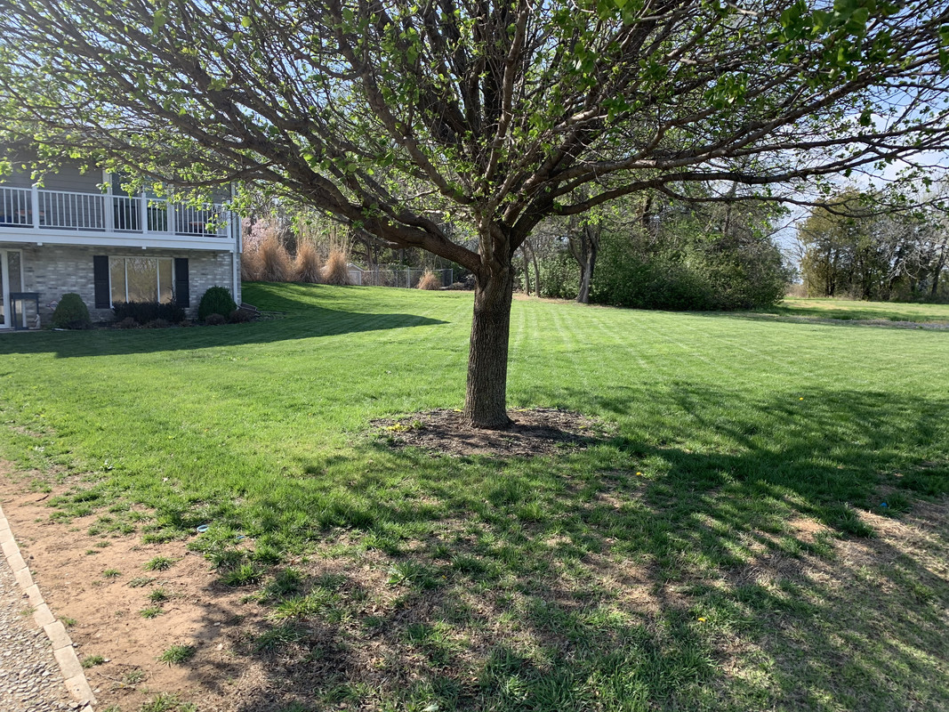 2D2A25BD-AD69-4787-A523-82C63E0353C1