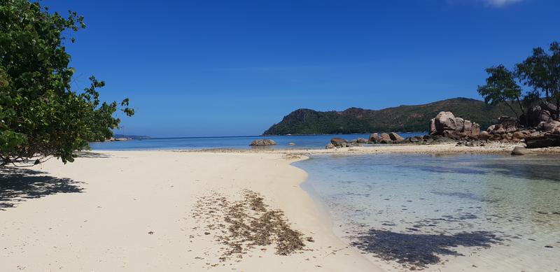 Seychelles-2ª parte de nuestra luna de miel. Se puede pedir más? - Blogs de Seychelles - DÍA 5:  PRASLIN (norte) (11)