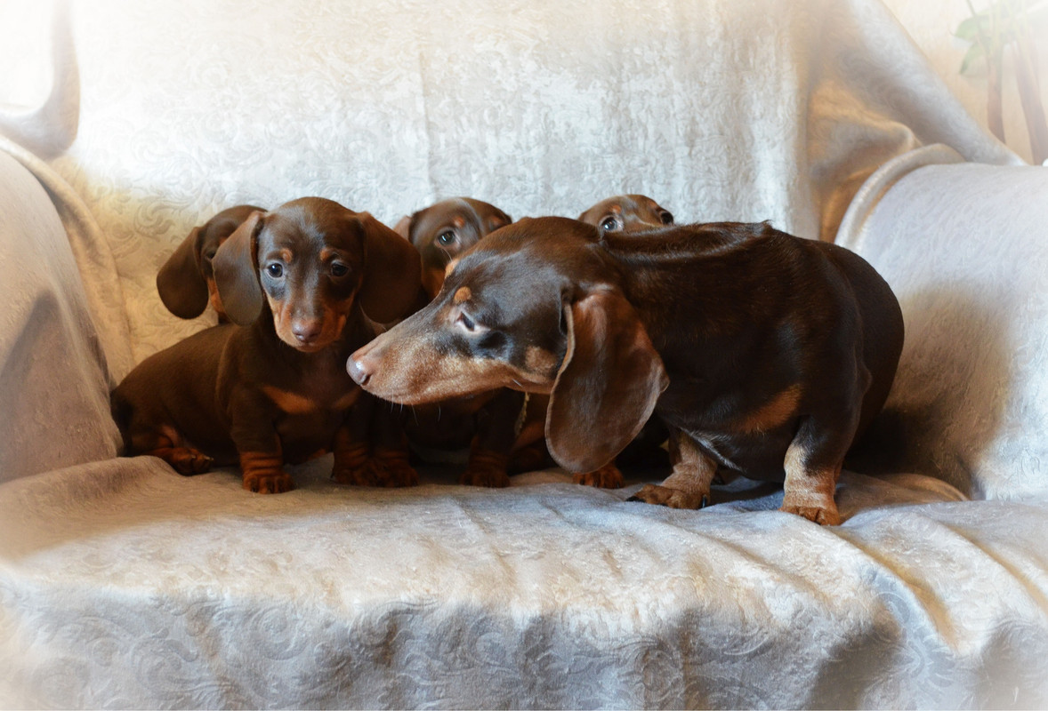 E72D91DA-98E0-4DA9-9923-39D8008D3332