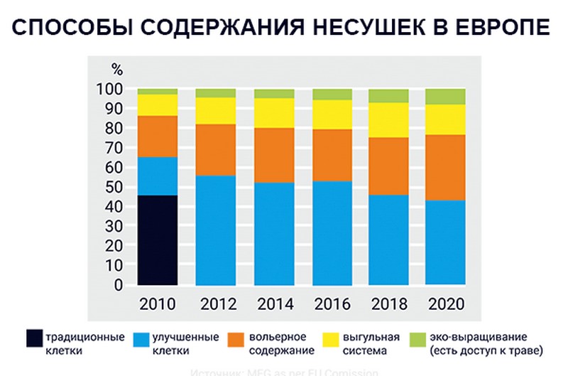 Способы содержания кур-несушек в Европе: клетки, вольер, выгул, эко-выращивание