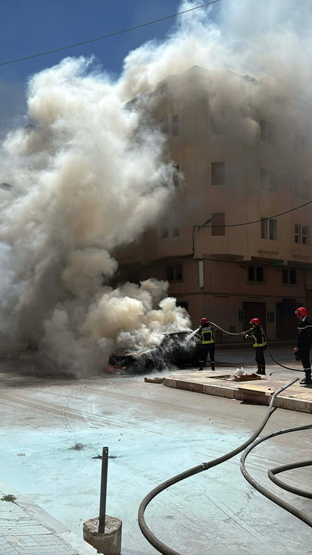 667364936-2672730526434916-4486279236487802050-n