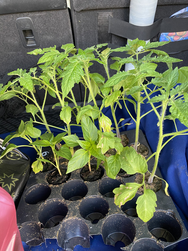 9326C073-112F-4917-9605-C1DFC82DF29A