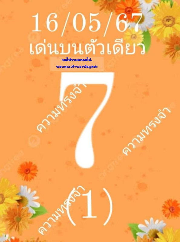 441046864_7321356644642811_8084535074342204480_n