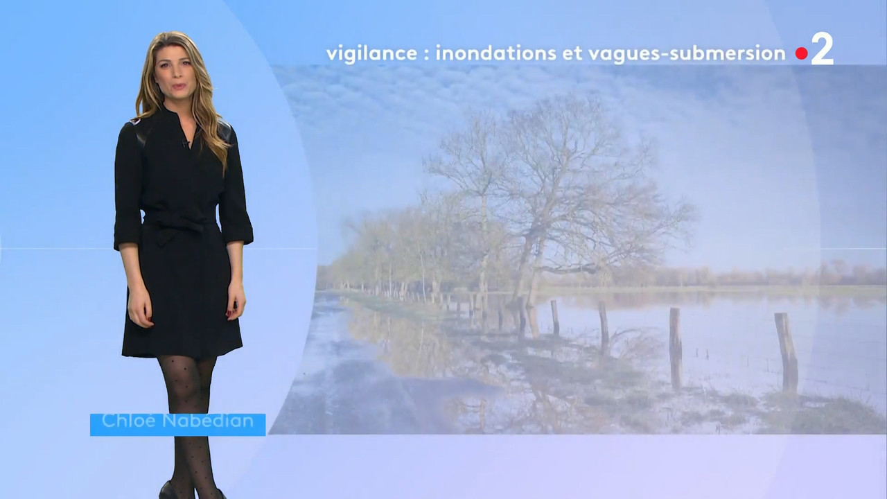 2021-01-30_20_50_Fr2_Meteo.mp4_snapshot_10.02.801