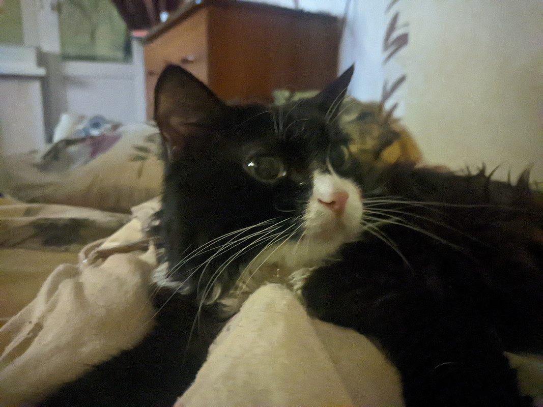 PXL_20221125_224521634