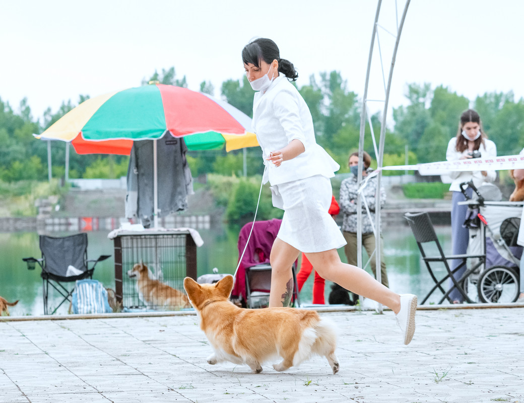 без имени-7110113