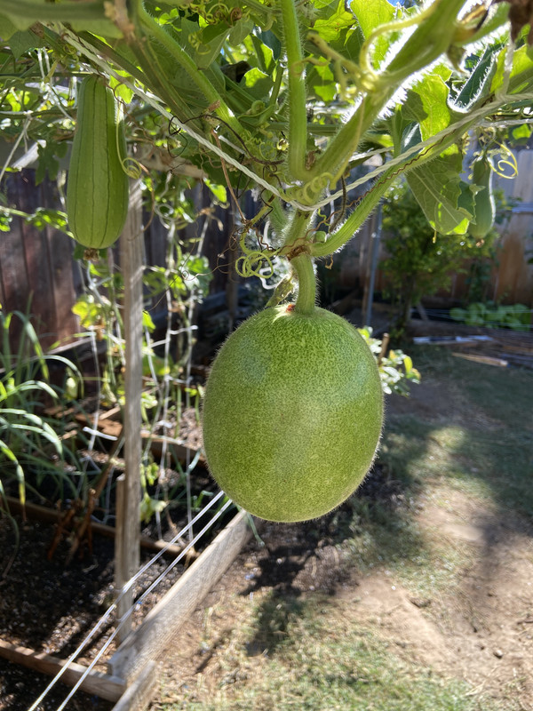 E1BC3740-9DAC-4875-8E28-7ACED770B700