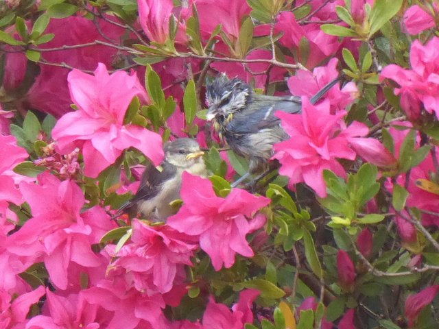 FB1E654C-C27B-4955-A8C0-413FE947B349