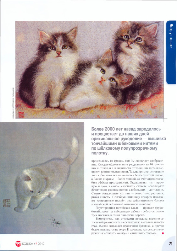 Moj-drug-koshka-2012-07-73