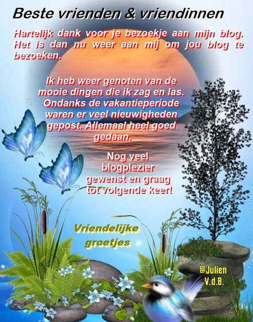 Blogbezoek-tekstplaatje