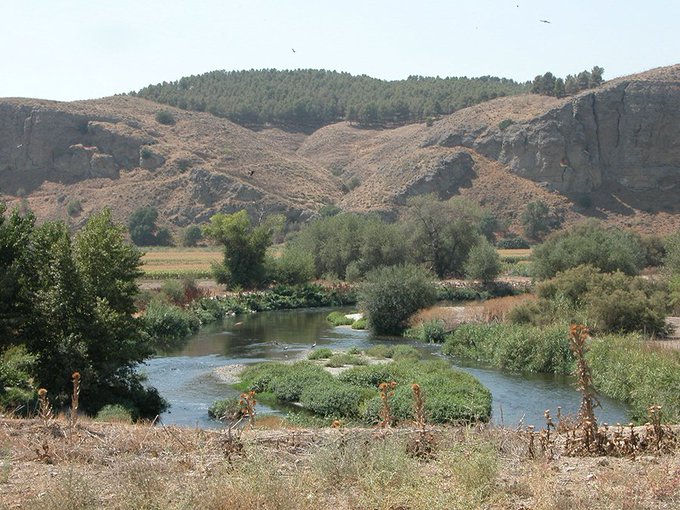 Foto cedida por Ayuntamiento de Rivas